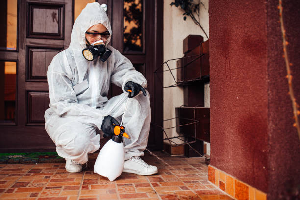 Reliable Bed Bug Control contractor in Carbon Hill, AL by Nex Pest Control
