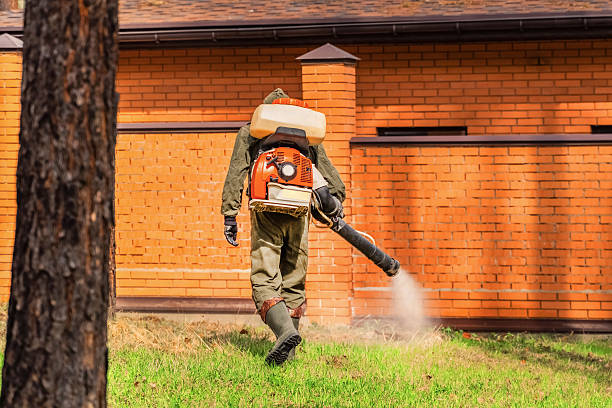 Trusted Ant Control service in Carbon Hill, AL - Nex Pest Control